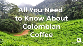 Colombian Coffee: All You Need to Know About Coffee from Colombia