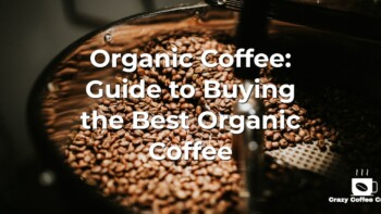 Organic Coffee: Guide to Buying the Best Organic Coffee