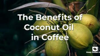 The [10] Benefits of Coconut Oil in Your Coffee + [RECIPE]