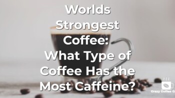 Worlds Strongest Coffee: What Type of Coffee Has the Most Caffeine?