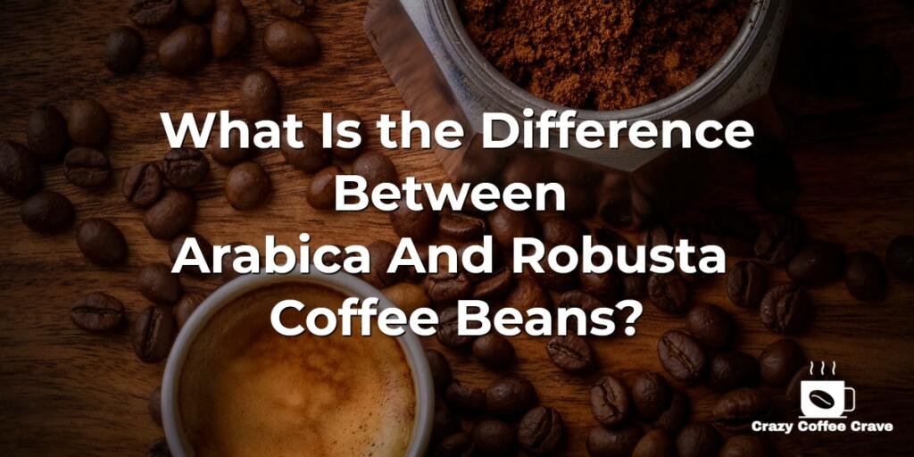 What Is the Difference Between Arabica vs Robusta Coffee Beans?