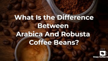 What Is the Difference Between Arabica Vs Robusta Coffee Beans?