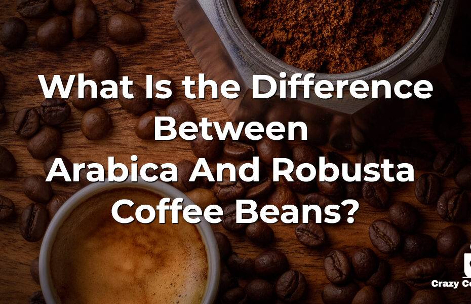 What Is the Difference Between Arabica vs Robusta Coffee Beans?