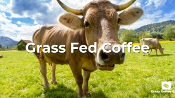 Grass Fed Coffee…. Just WTF is going on?