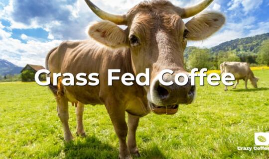 Grass Fed Coffee…. Just WTF is going on?