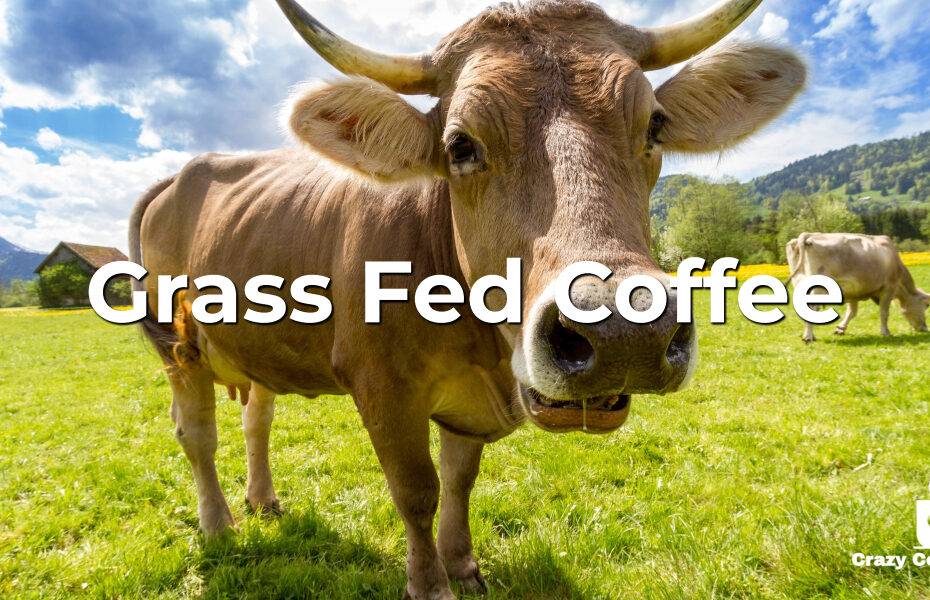 grass fed coffee