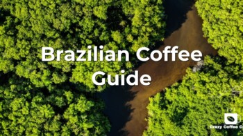 Brazilian Coffee Guide: All You Need to Know About Coffee From Brazil