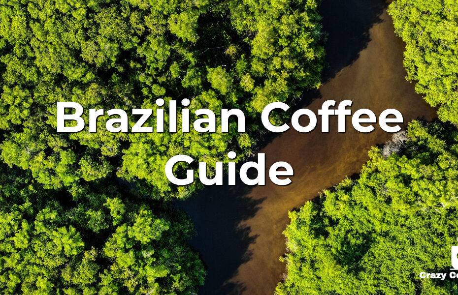 Brazilian Coffee Guide: All You Need to Know