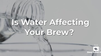 Is Water Affecting Your Brew? A Guide to Best Water for Coffee