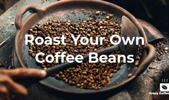 Best Home Coffee Roasters: Roast Your Own Coffee
