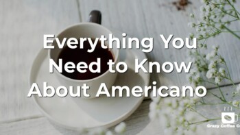 Everything You Need to Know About Americano 