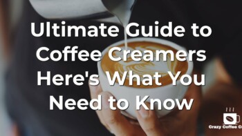 Coffee Creamers Guide: What You Need to Know