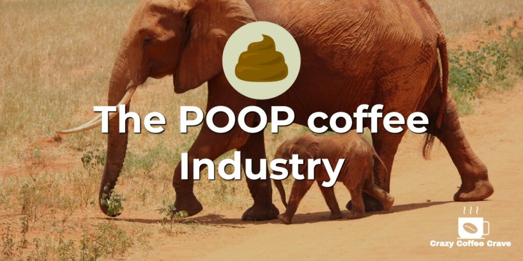 poop coffee