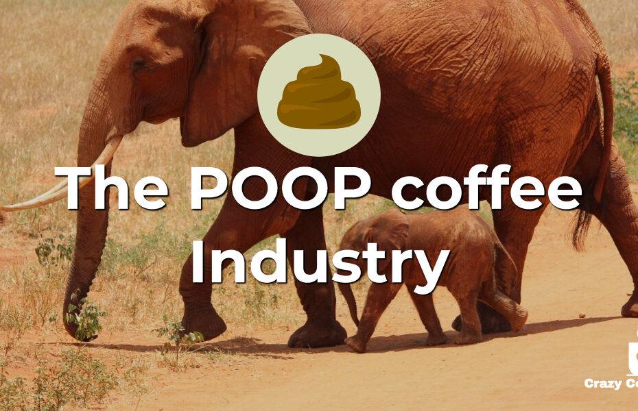 poop coffee