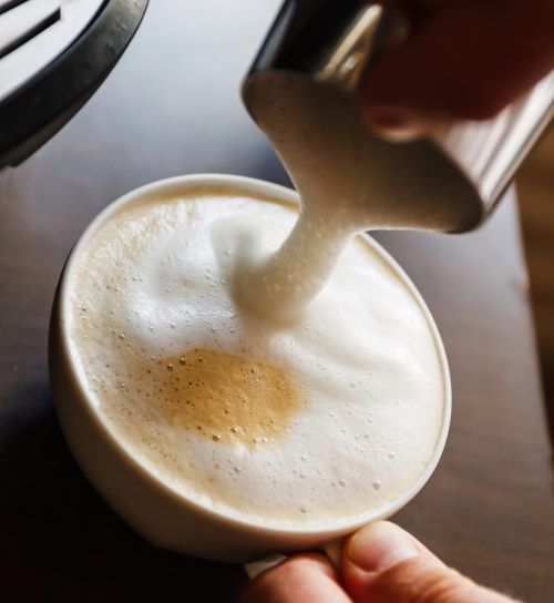 frothed milk