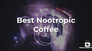 Brain-Boosting Brews: Top 7 Nootropic Coffees
