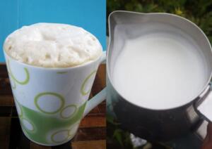 frothed milk vs steam milk
