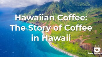 Hawaiian Coffee: The Story of Coffee in Hawaii