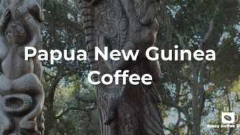 Papua New Guinea Coffee: All You Need to Know