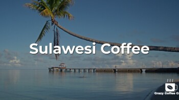 Sulawesi Coffee: Learn About Coffee in Sulawesi, Small Island, Big in Coffee