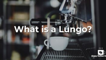 What is a Lungo?