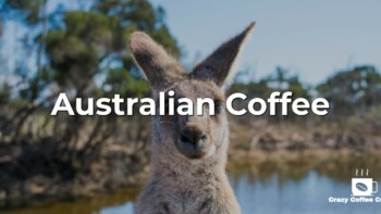 Australian Coffee: What You Need to Know