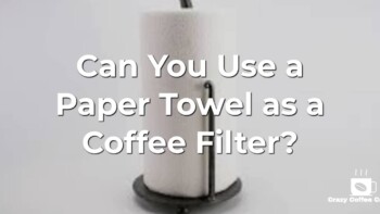 Can You Use a Paper Towel as a Coffee Filter?