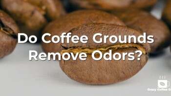 Do Coffee Grounds Remove Odors? Why and How to Use It