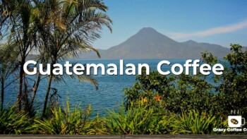 Coffee in Guatemala: The Ultimate Guide to Guatemalan Coffee