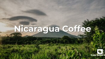 Nicaragua Coffee: What You Need to Know about Nicaraguan Coffee
