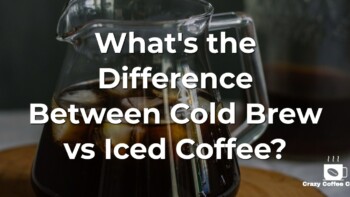 Cold Brew vs Iced Coffee: What’s the Difference Between Them?