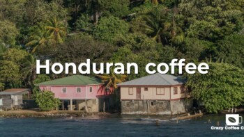 What You Need to Know About Honduras Coffee
