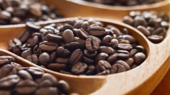 What Is Gourmet Coffee & How Is It Different From Regular?