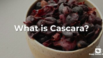 What is Cascara?