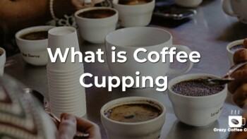 What is Coffee Cupping? How Does It Work?