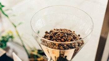 Best Coffee Grinder Under $100 Reviewed
