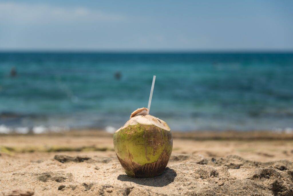 coconut beside body of water during daytime