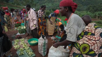 Burundi Coffee Beans: A Country in East Africa