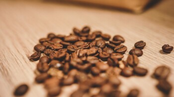 5 Best Organic Decaf Coffee on the Market