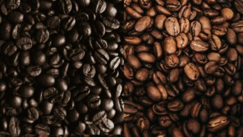 What Is the Difference Between Espresso vs. Dark Roast Coffee Bean?