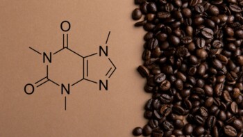 Caffeine Intolerance: Understanding the Causes, Symptoms, and Management