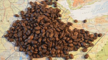 Guide to Ethiopia Sidamo Region Coffee