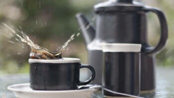 How to Make Coffee With a Percolator: Step-by-Step Guide