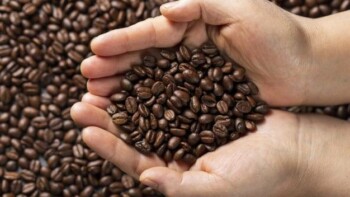 All About The Different Types Of Coffee Beans