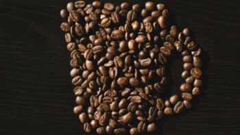 The Robusta Coffee Guide: Unraveling the Bold and Earthy Flavors of the Mighty Bean