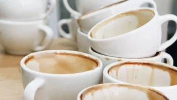 Best 12 Cup Coffee Machines Reviewed Top 8 Picked
