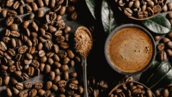 10 Best Gourmet Coffee Brands Reviews & Top Picks