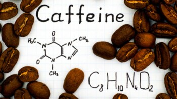 How Long Does Caffeine Last & Why?