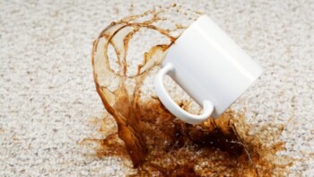 Do Coffee Stains Come Out?