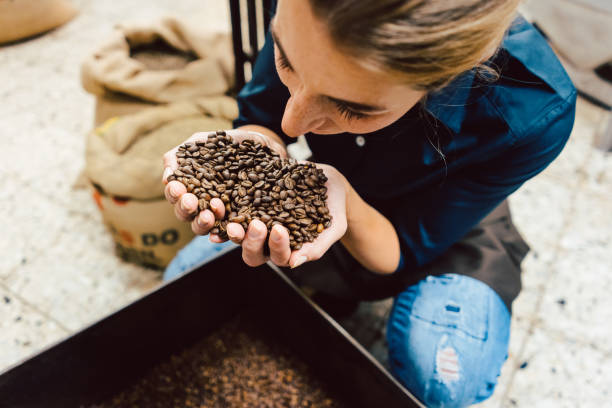 Barista woman testing the aroma of fresh coffee beans sniffing